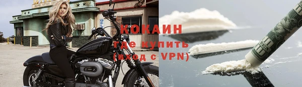 шишки Беломорск