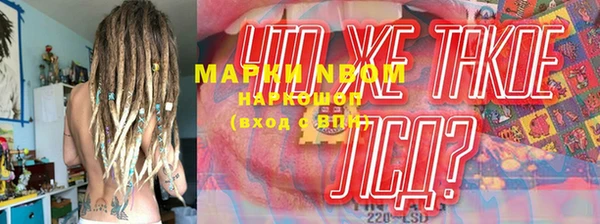 шишки Беломорск