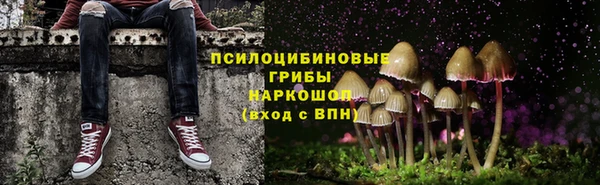 шишки Беломорск