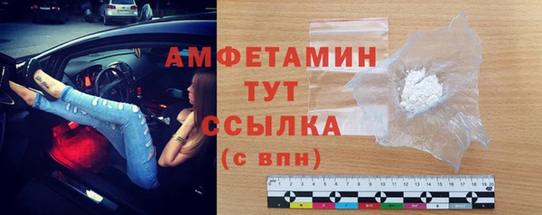 шишки Беломорск